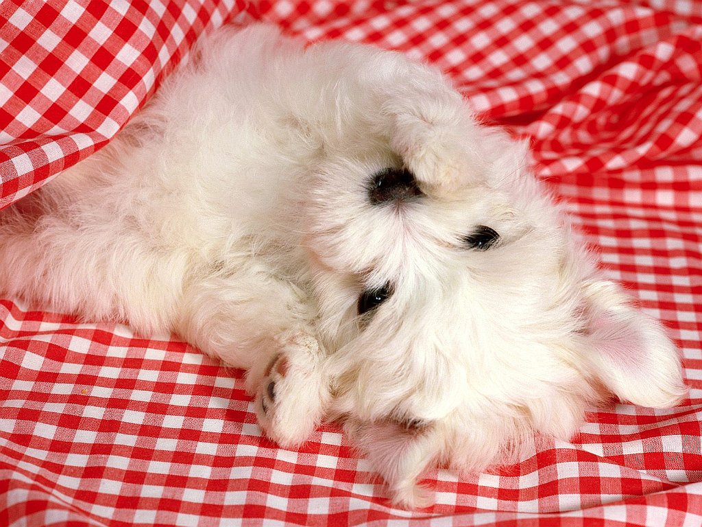 Rolling Around
